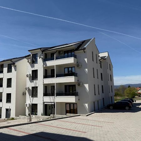 Aleksandar Apartman Sokobanja Экстерьер фото