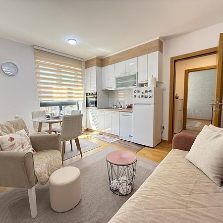 Aleksandar Apartman Sokobanja Экстерьер фото