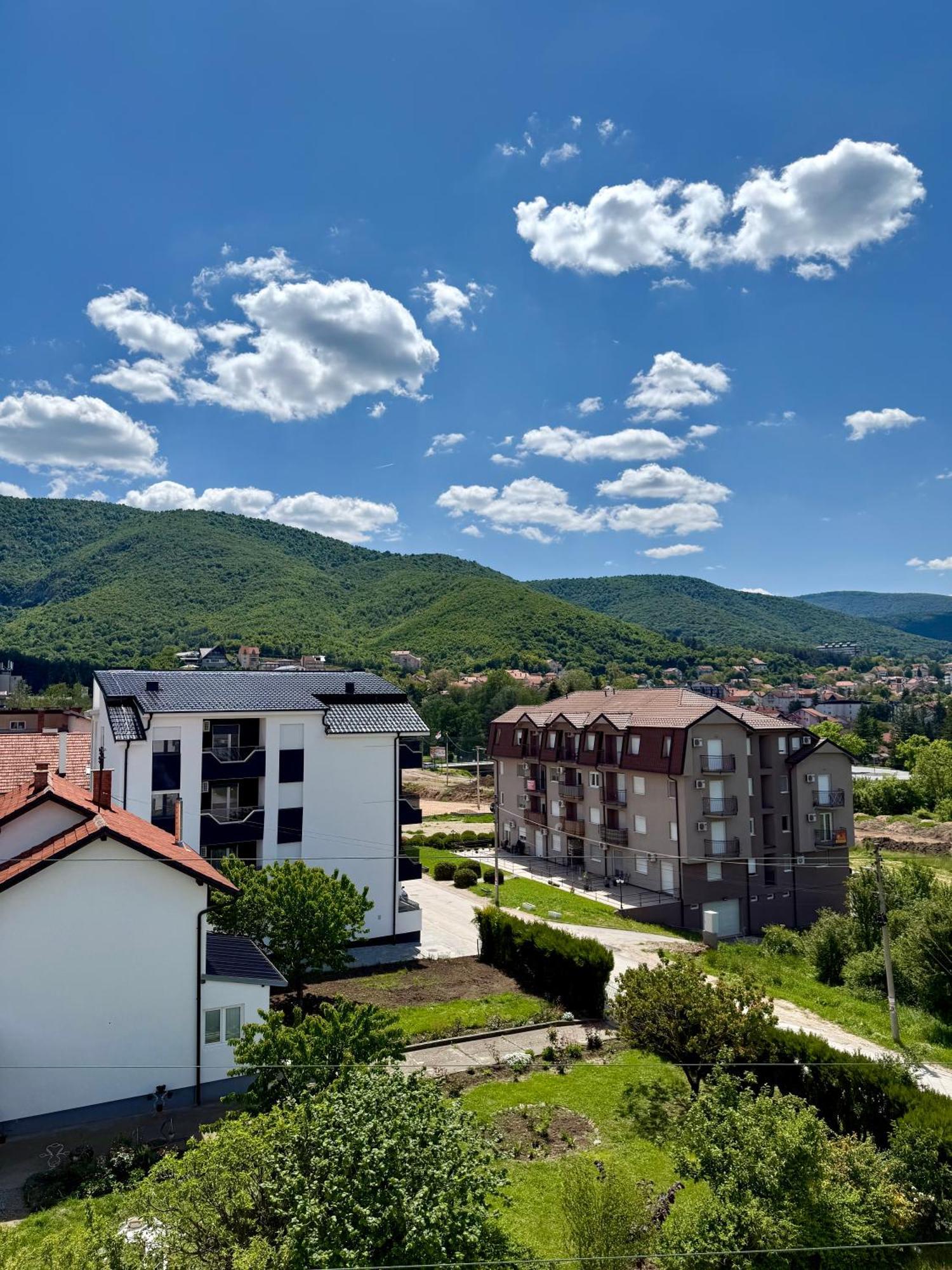 Aleksandar Apartman Sokobanja Экстерьер фото